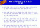 NAFTA에대해 1페이지