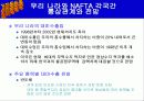 NAFTA에대해 14페이지