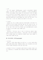 미국의 지방자치 3페이지