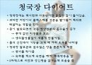 다이어트 13페이지