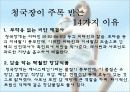 다이어트 15페이지
