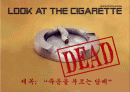 담배와건강 2페이지