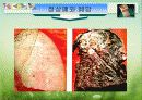 담배와건강 21페이지