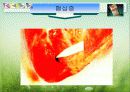 담배와건강 24페이지
