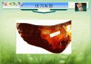 담배와건강 27페이지