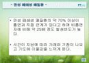 담배와건강 31페이지