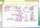 생명 공학 기술의 역사 7페이지