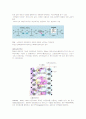 DNA 에서 단백질까지 3페이지