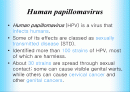 인간 유두종 바이러스에 관해서(HPV:Human papillomavirus) 2페이지