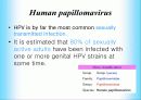 인간 유두종 바이러스에 관해서(HPV:Human papillomavirus) 3페이지