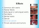 인간 유두종 바이러스에 관해서(HPV:Human papillomavirus) 6페이지