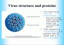 인간 유두종 바이러스에 관해서(HPV:Human papillomavirus) 7페이지