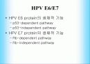 인간 유두종 바이러스에 관해서(HPV:Human papillomavirus) 11페이지