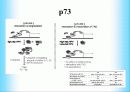 인간 유두종 바이러스에 관해서(HPV:Human papillomavirus) 13페이지