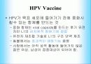 인간 유두종 바이러스에 관해서(HPV:Human papillomavirus) 16페이지