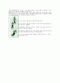 스키의 기본 기술및 스키장에서의 안전 수칙 11페이지