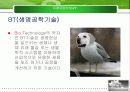 6T현황과 문제점 및 글로벌화 전략 5페이지