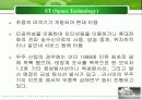 6T현황과 문제점 및 글로벌화 전략 17페이지