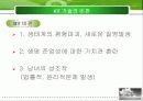 6T현황과 문제점 및 글로벌화 전략 31페이지