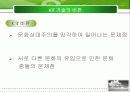 6T현황과 문제점 및 글로벌화 전략 34페이지