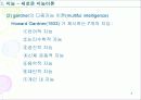 지능과 창의력 8페이지