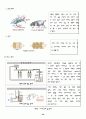 자동차 기관에 대하여 정리... 20페이지