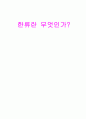 한류란 무엇인가? 1페이지