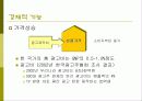 광고의 이해 4페이지