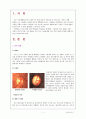 안수술환자의 간호 1페이지