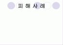 조류독감에 대해서 11페이지