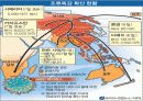 조류독감에 대해서 13페이지