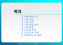 [보험/마케팅]신 보험 상품 개발 및 마케팅 전략 2페이지