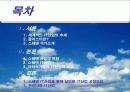 스웨덴의 IT 산업 2페이지