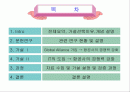 항공사의 항공경영전략 2페이지