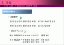 항공사의 항공경영전략 21페이지