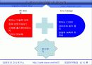 레인콤 분석자료 15페이지