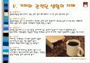 커피의 모든 것 13페이지