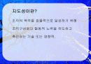 지도성 (leadership) 3페이지