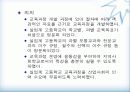 국내공업교육과정의 발전과정 9페이지