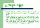 우리나라의 여성복지 13페이지