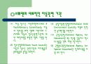 우리나라의 여성복지 17페이지
