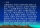 창조론과 진화론 11페이지