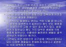 창조론과 진화론 17페이지