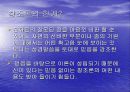 창조론과 진화론 20페이지
