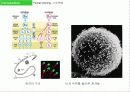 인간복제 15페이지