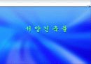 동,서양 건축물 조사(사진,개요첨부)파워포인트 13페이지
