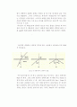 Abbe굴절계 작동원리 및 굴절율 측정 15페이지