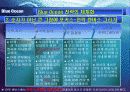 블루오션전략 17페이지