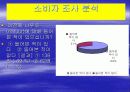 나뚜르(Natuur) 마케팅 전략 5페이지