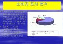 나뚜르(Natuur) 마케팅 전략 6페이지